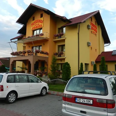 Guest house Pensiunea Ana Maria Brad (Hunedoara)