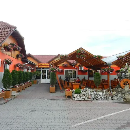 Pensiunea Ana Maria Guest house 3*