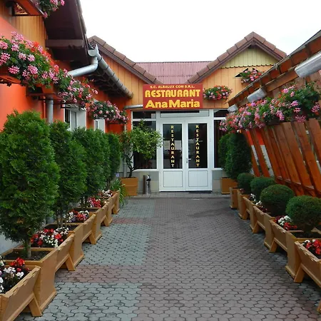 Guest house Pensiunea Ana Maria Brad (Hunedoara)