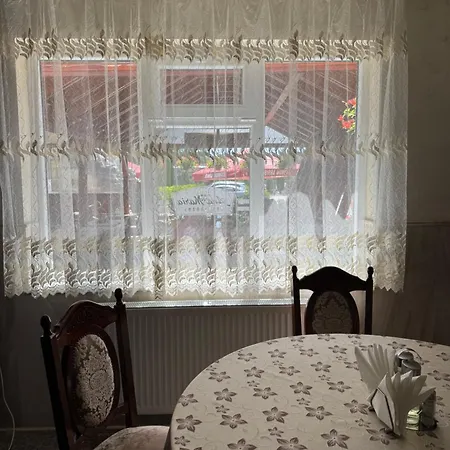 Pensiunea Ana Maria 3* Brad (Hunedoara)