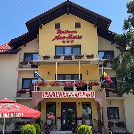 Pensiunea Ana Maria 3*