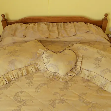 Guest house Pensiunea Ana Maria 3*