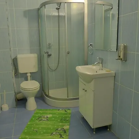 Guest house Pensiunea Ana Maria