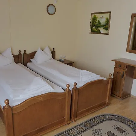 Pensiunea Ana Maria Brad (Hunedoara)