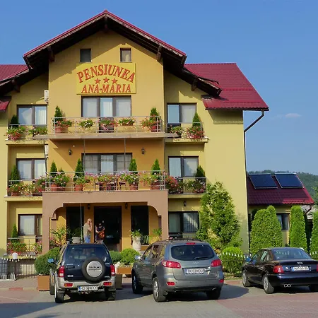 Guest house Pensiunea Ana Maria Brad (Hunedoara)